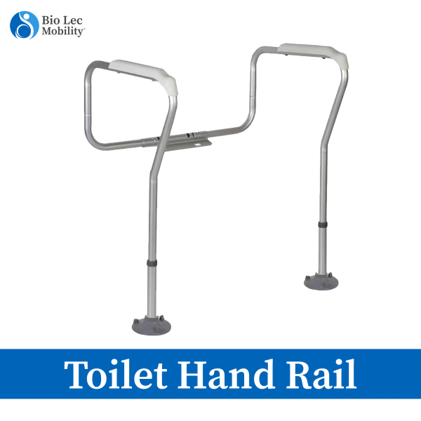 toilet support frame handrail
