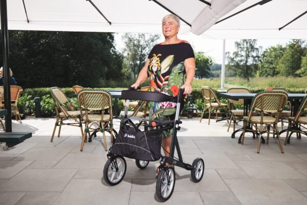 lion walker rollator with big wheels