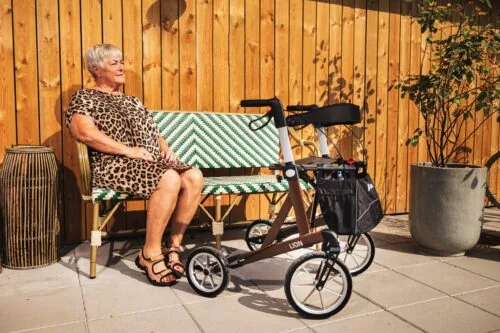 Mobilex Lion rollator next to a seated person outdoors.