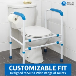 Toilet support frame with ergonomic handles and roll holder around a toilet.