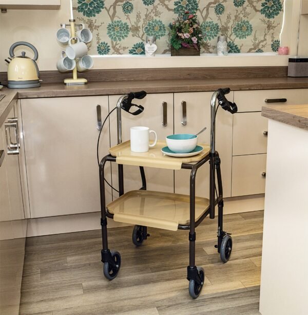 strolley trolley, indoor trolley