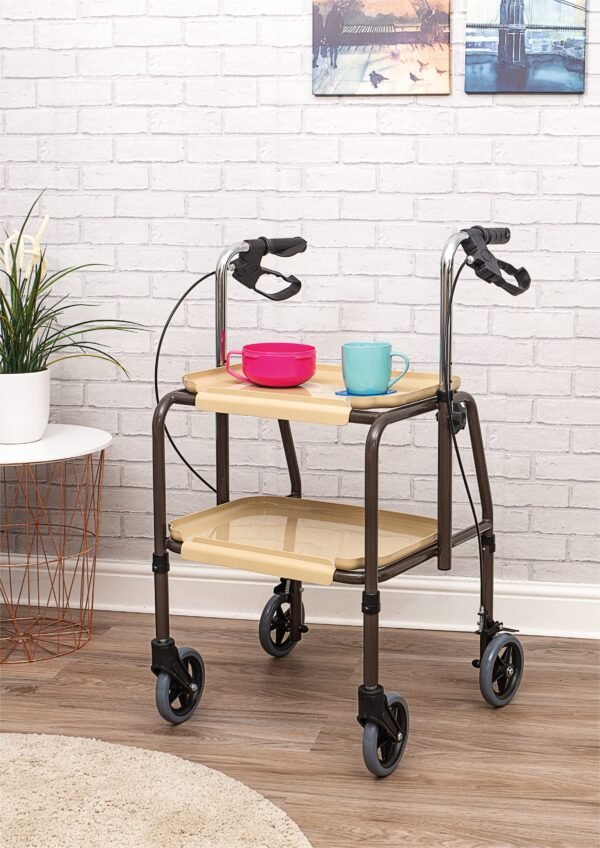 Indoor Trolley For Elderly, mobility trolley for indoors