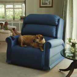 A dog resting on a blue recliner in a living room with a glass table nearby.