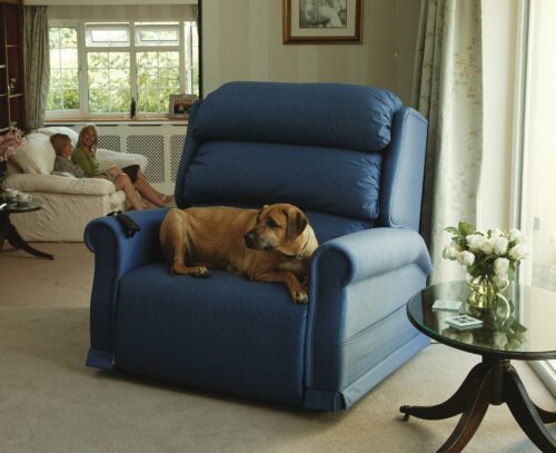 A dog resting on a blue recliner in a living room with a glass table nearby.