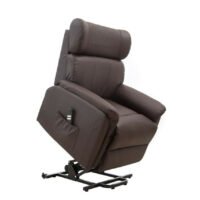 Dual Motor Leather Riser Recliner-brown rise recline chair