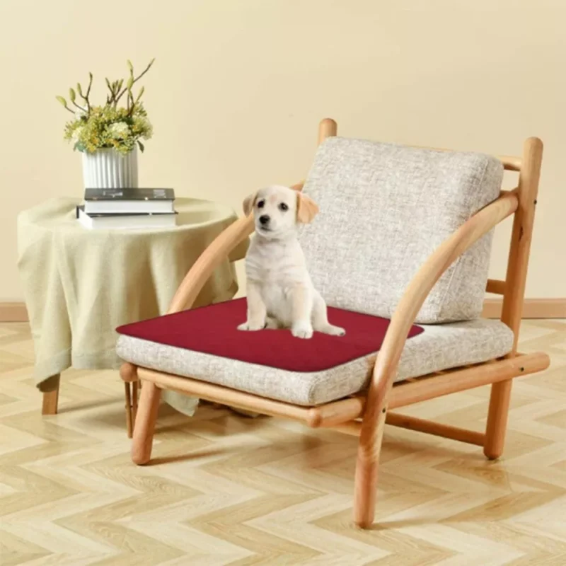 Wine red incontinence chair pad on a wooden chair with a puppy sitting on it.