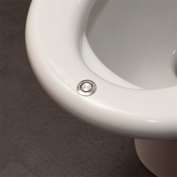 bidet toilet seat-bidet toilet with heated seat-soft closing toilet seats