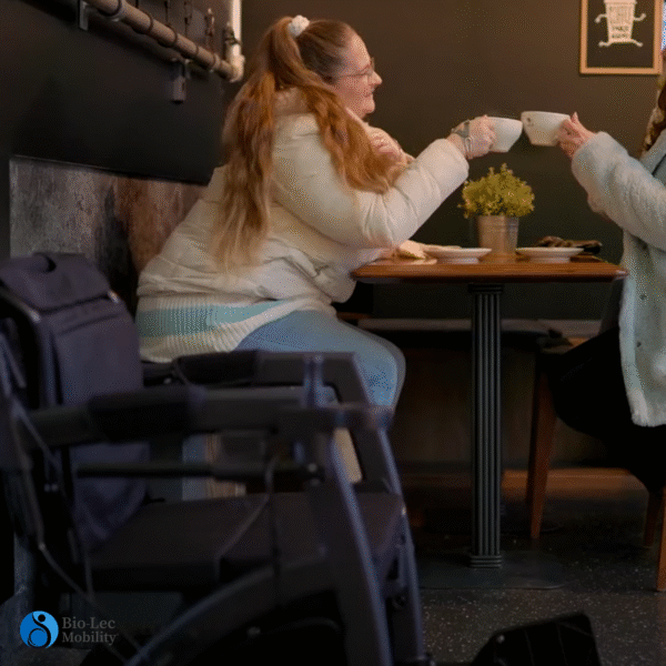 rollz motion electric rollator wheelchair-Rollator-and-electric-wheelchair
