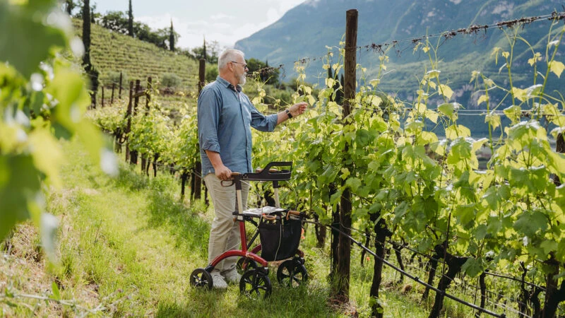 Person using a Saljol Allround Crossover Rollator in a vineyard.