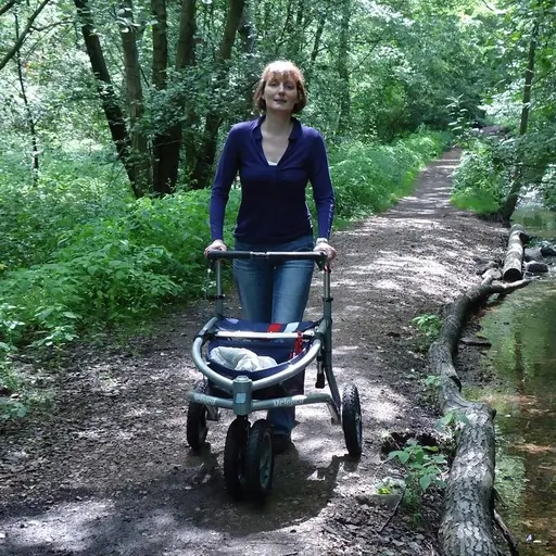 Trionic Rollator Walker 12er-Trionic Veloped walkers for sale-Outdoor Walker-Outdoor Rollators for Seniors-All Terrain Walkers-Walker Rollator for Rough Terrain