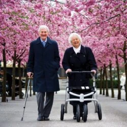 Elderly couple walking with a Trionic Veloped Tour 14er under cherry blossoms.