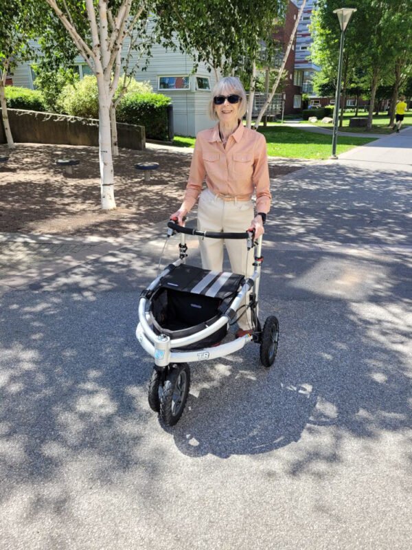 alternative to rollator-trionic velopad tour 14er