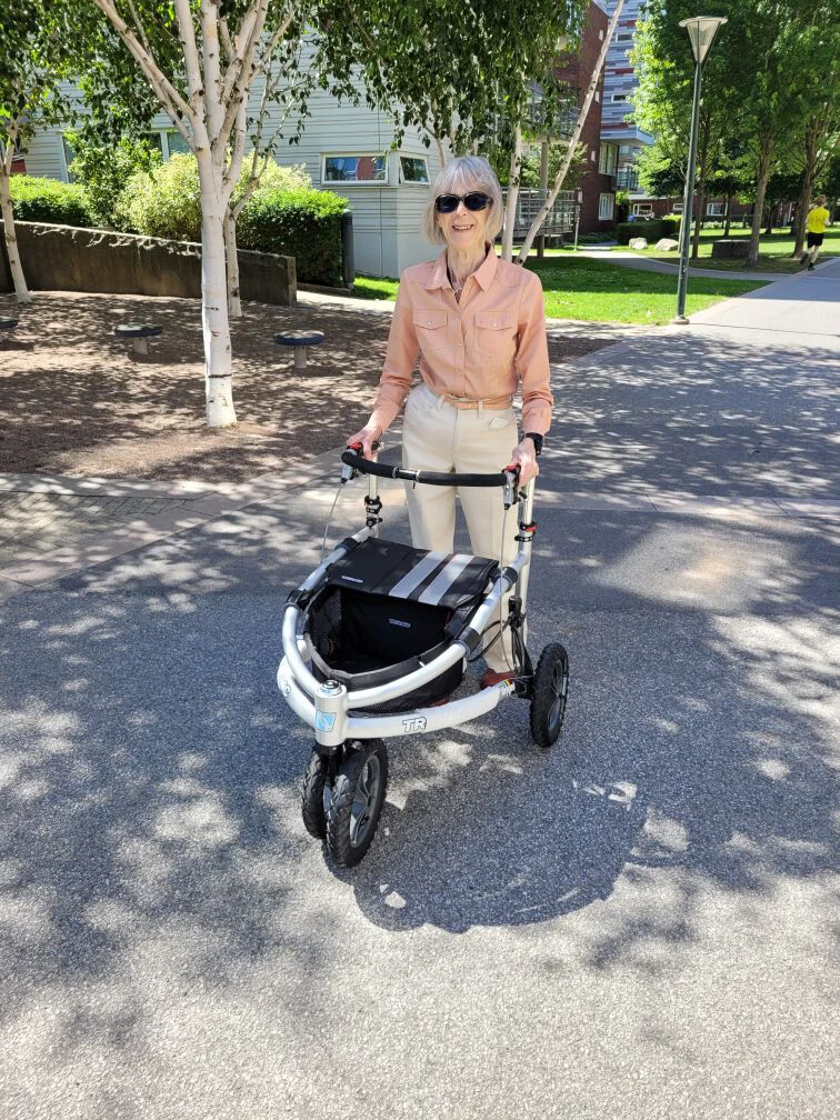 Person using Trionic Veloped Tour 14er rollator in a park.