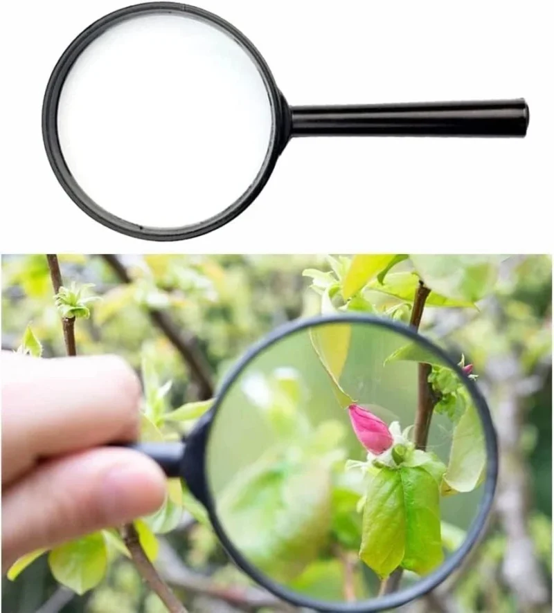 Black handheld magnifier with a 65mm lens showing a close-up of a pink flower bud.