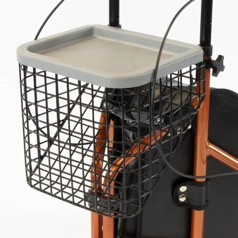 Wire basket and detachable tray add-on set for a tri walker