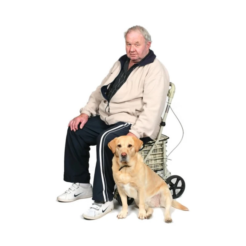 Man sitting on the Royal shopping trolley with his dog